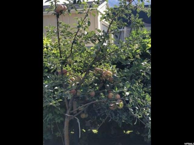 467 Hawthorne Dr, River Heights, UT 84321 — photo 6