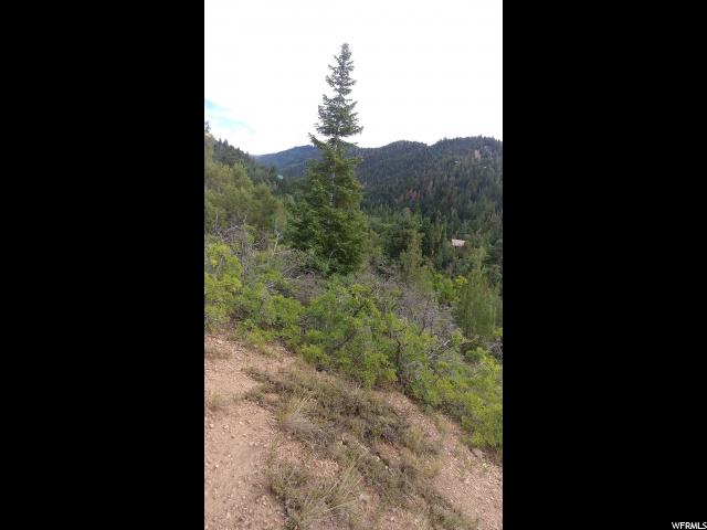 2 Vista #2, Mt Pleasant, UT 84647 — photo 9