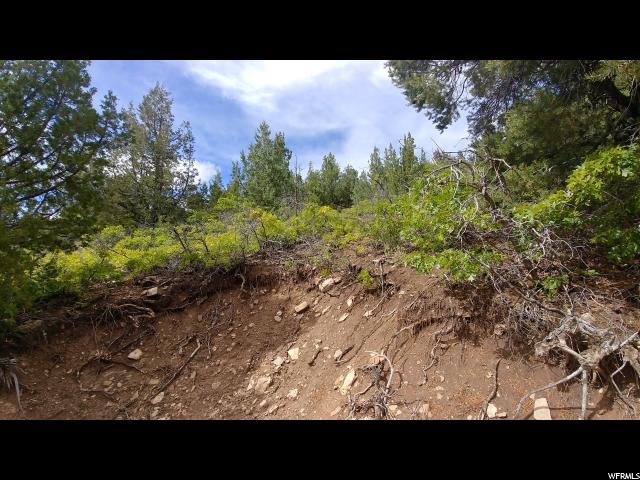 2 Vista #2, Mt Pleasant, UT 84647 — photo 11