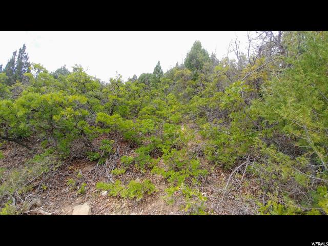 2 Vista #2, Mt Pleasant, UT 84647 — photo 8