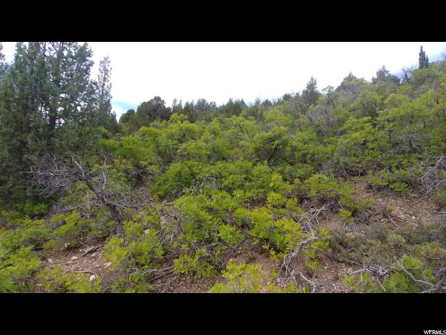 2 Vista #2, Mt Pleasant, UT 84647 — photo 3
