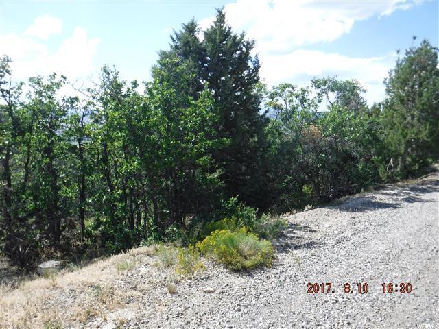 22380 N Cedar Rdg E #C-75, Fairview, UT 84629 — photo 3