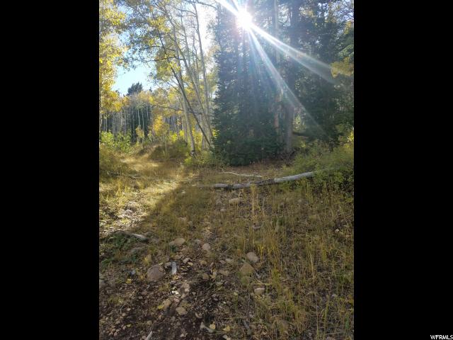 #2, Tabiona, UT 84072 — photo 5