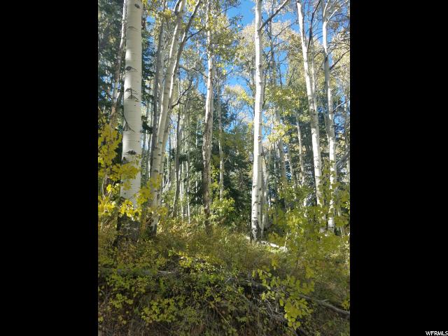 #2, Tabiona, UT 84072 — photo 3
