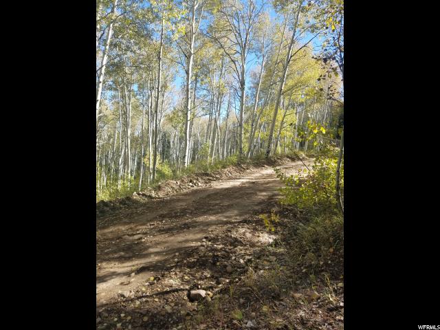 #2, Tabiona, UT 84072 — photo 4