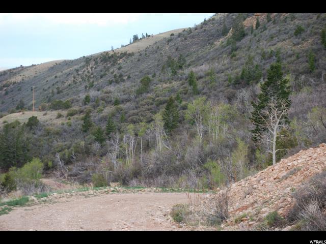 #4, Tabiona, UT 84072 — photo 11