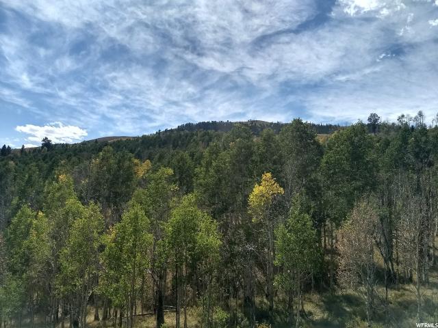 #4, Tabiona, UT 84072 — photo 8