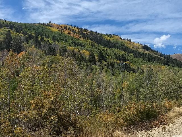 #4, Tabiona, UT 84072 — photo 7