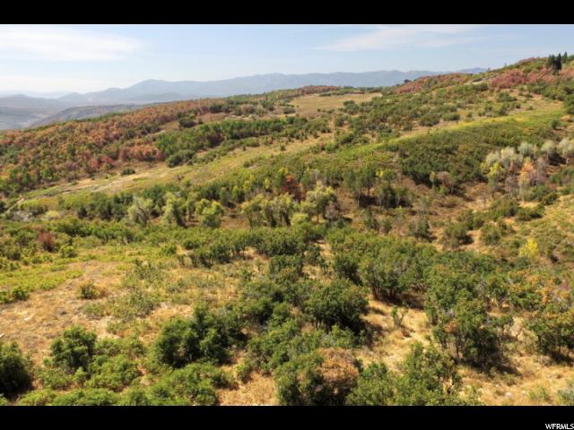 Fox Mdw, Wanship, UT 84017 — photo 6