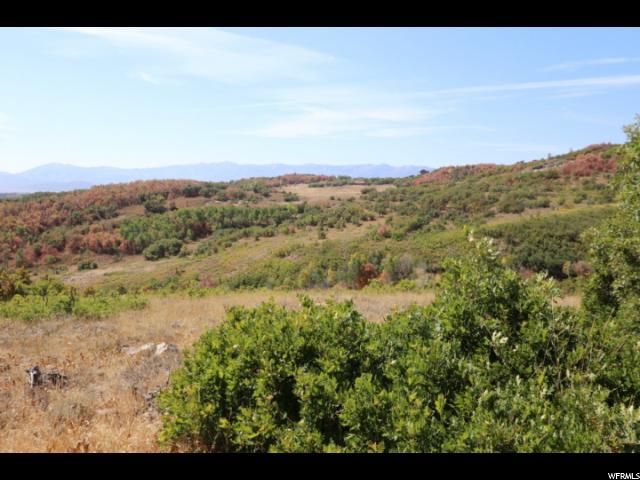 Fox Mdw, Wanship, UT 84017 — photo 10