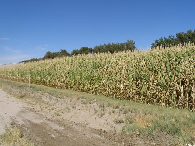 2485 N 7000 W, Abraham, UT 84635 — photo 3