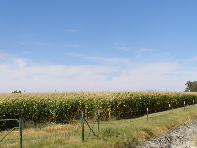 2485 N 7000 W, Abraham, UT 84635 — photo 2