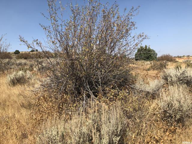 16 N Parcel 16-101-comm, Hyrum, UT 84319 — photo 10