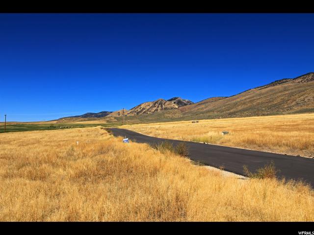 1269 Moose Loop #4, Montpelier, ID 83254 — photo 4