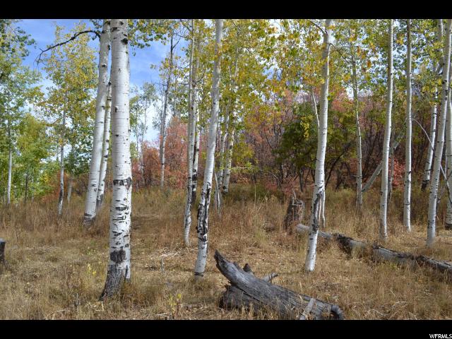 530 Forest Cir #31, Wanship, UT 84017 — photo 7