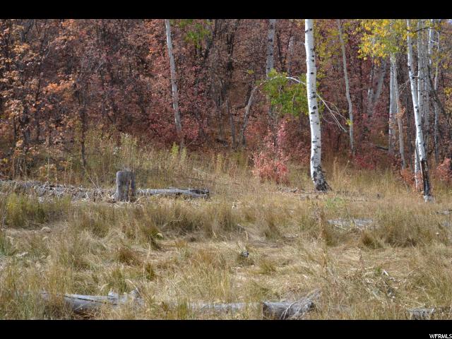 530 Forest Cir #31, Wanship, UT 84017 — photo 9