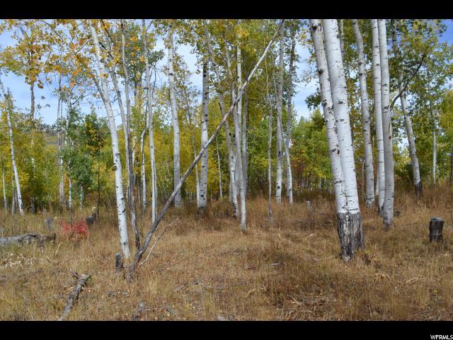 530 Forest Cir #31, Wanship, UT 84017 — photo 6