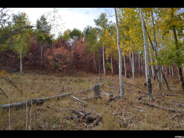 530 Forest Cir #31, Wanship, UT 84017 — photo 3