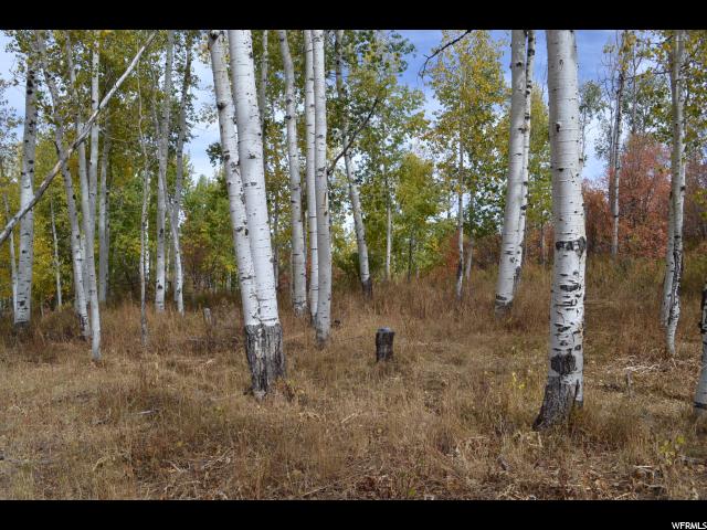 530 Forest Cir #31, Wanship, UT 84017 — photo 5