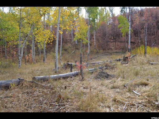 530 Forest Cir #31, Wanship, UT 84017 — photo 4