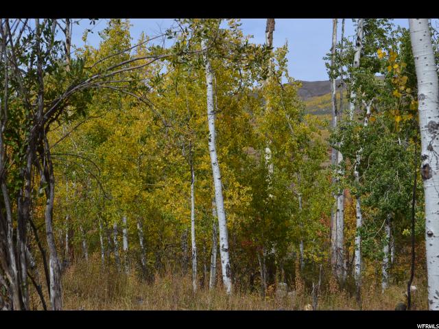 530 Forest Cir #31, Wanship, UT 84017 — photo 8