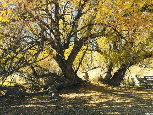 820 S 442 W, Midway, UT 84049 — photo 4