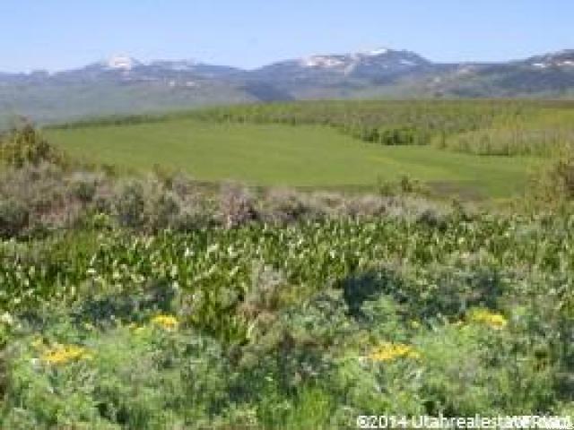 #86, Montpelier, ID 83254 — photo 12
