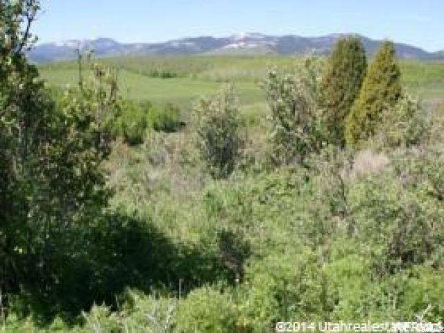 #86, Montpelier, ID 83254 — photo 11