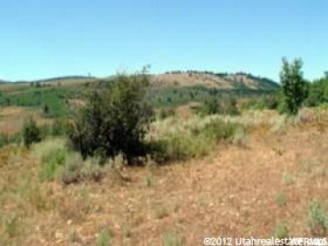 #86, Montpelier, ID 83254 — photo 10