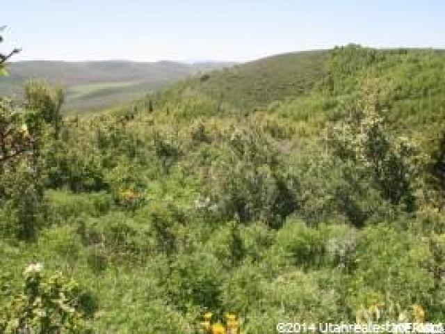 #86, Montpelier, ID 83254 — photo 2