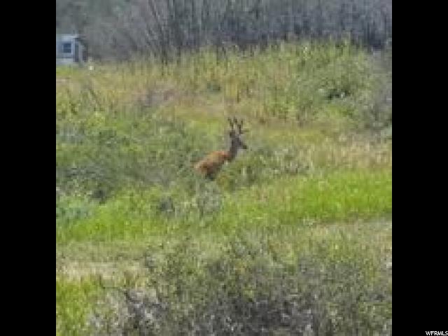 58 Valleyview #58, Wanship, UT 84017 — photo 2