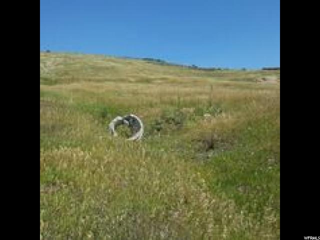 294 Parkview #294, Wanship, UT 84017 — photo 10