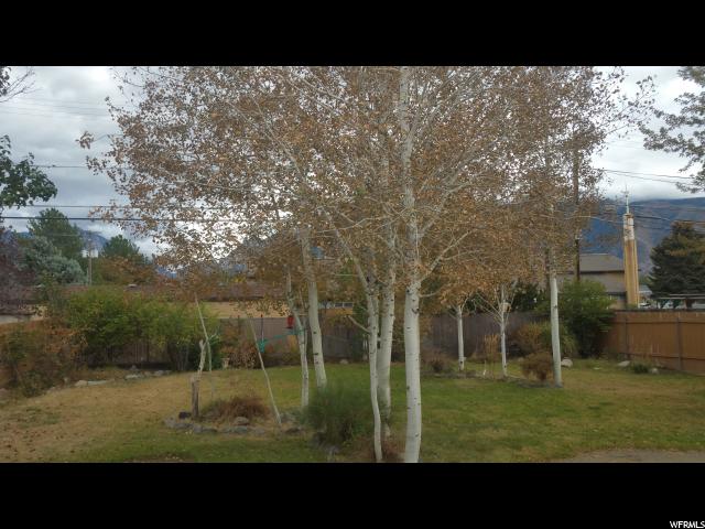 10557 S Crocus St E, Sandy, UT 84094 — photo 4