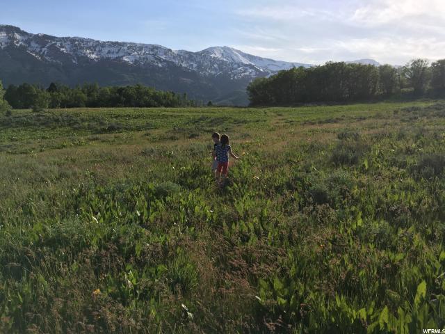 6782 N 2275 E, Eden, UT 84310 — photo 11