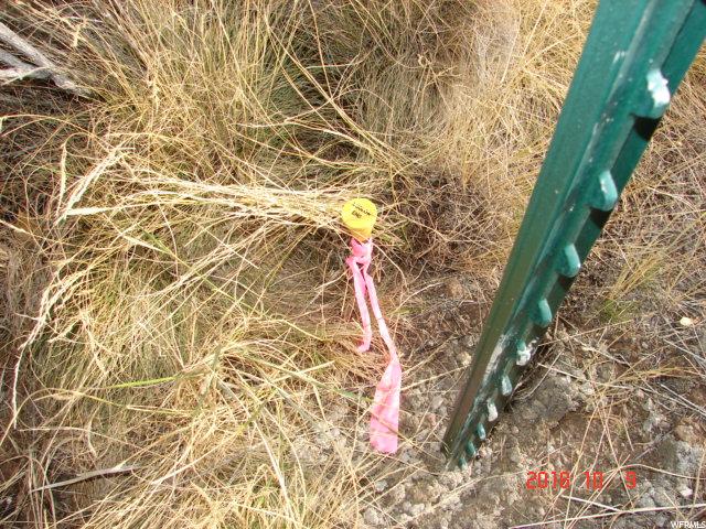 #25, Eureka, UT 84628 — photo 11