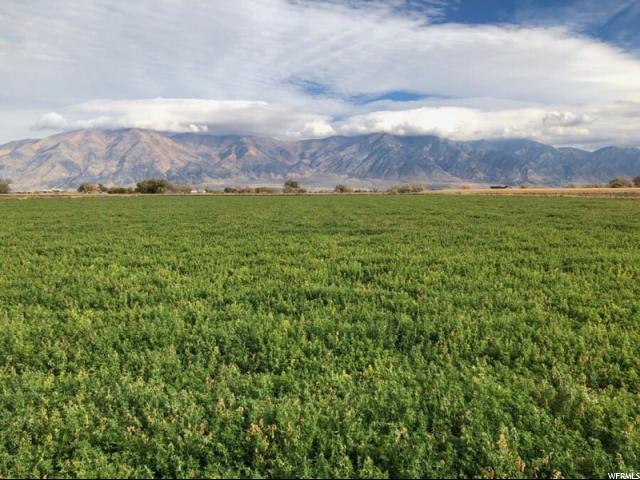 W N, Elwood, UT 84337 — photo 10