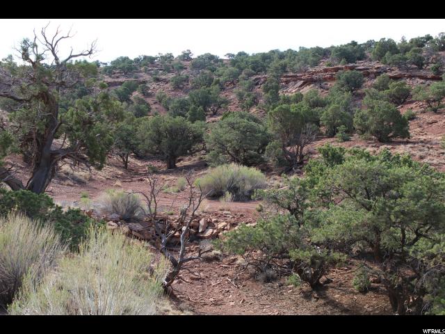 600 S River View Dr E #2, Torrey, UT 84775 — photo 5