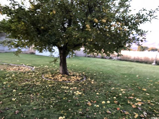906 Rancho Blvd, Ogden, UT 84404 — photo 7