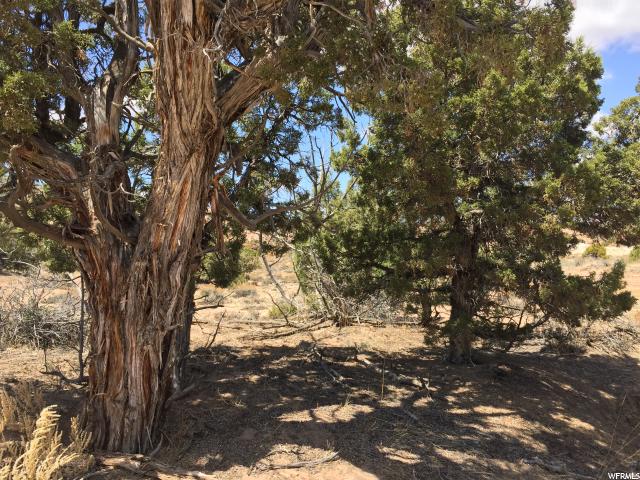 #14B, Roosevelt, UT 84066 — photo 4