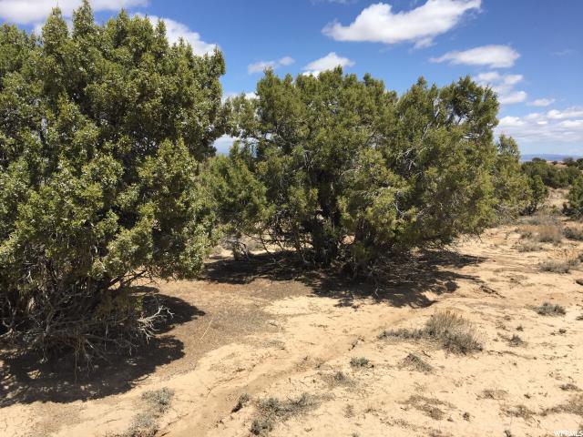 #14B, Roosevelt, UT 84066 — photo 12