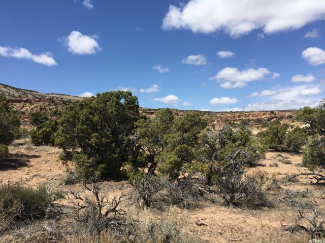 #14B, Roosevelt, UT 84066 — photo 3
