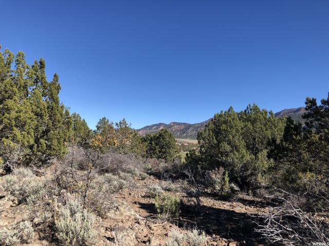 Juniper Way #237, New Harmony, UT 84757 — photo 10