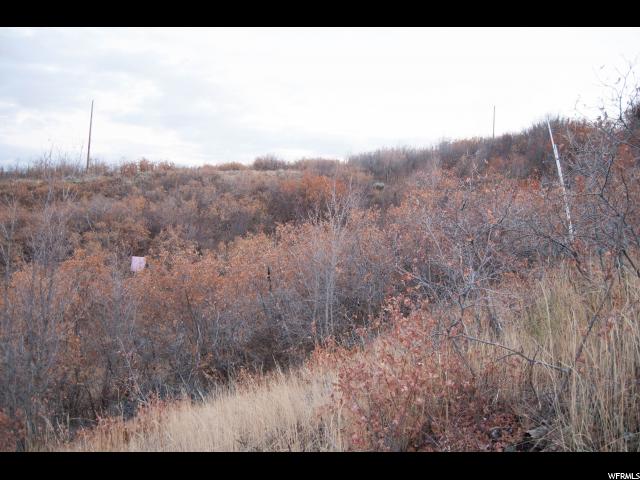 83 Switzer Dr #83, Midway, UT 84049 — photo 7