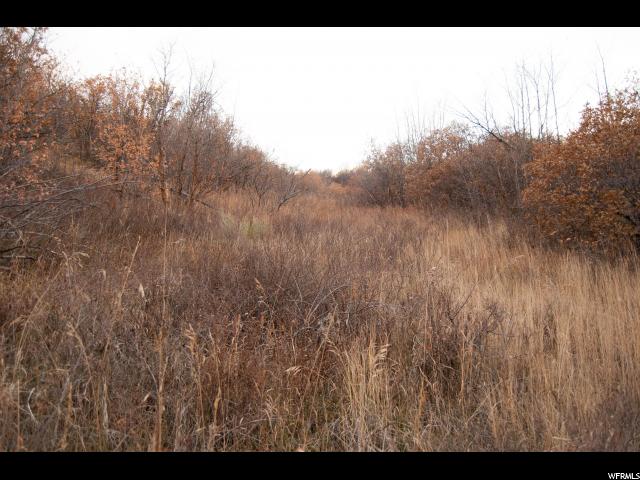 83 Switzer Dr #83, Midway, UT 84049 — photo 8