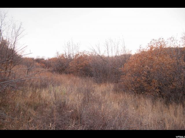 83 Switzer Dr #83, Midway, UT 84049 — photo 9
