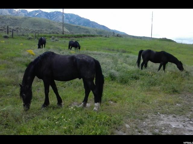 2360 E 13050 N, Cove, UT 84320 — photo 4