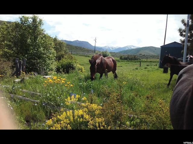 2360 E 13050 N, Cove, UT 84320 — photo 7