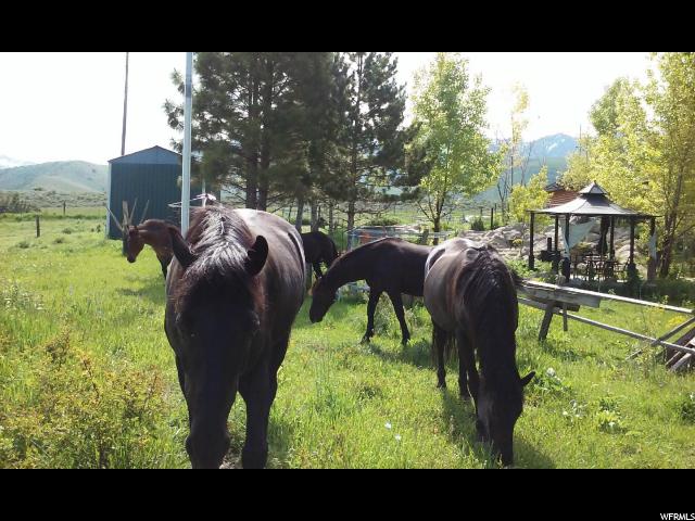2360 E 13050 N, Cove, UT 84320 — photo 5