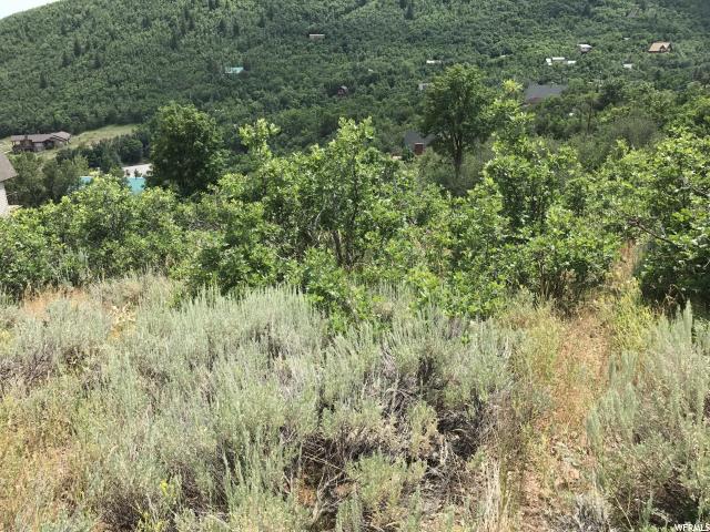 1259 Hillside Dr #83, Midway, UT 84049 — photo 4