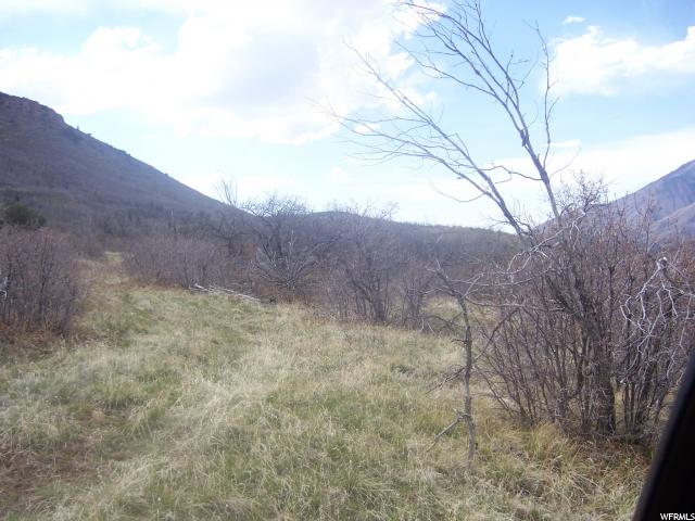 #90, Fountain Green, UT 84632 — photo 3